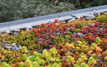 the cost of Notton green roof installation