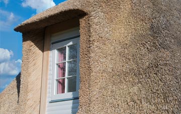 Notton thatch roof disadvantages