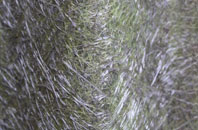 Notton fibreglass roof work